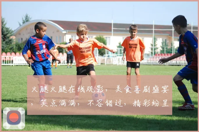 火腿火腿在线观影，美食喜剧盛宴，笑点满满，不容错过，精彩纷呈，值得一看