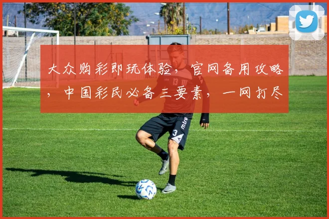 大众购彩即玩体验，官网备用攻略，中国彩民必备三要素，一网打尽