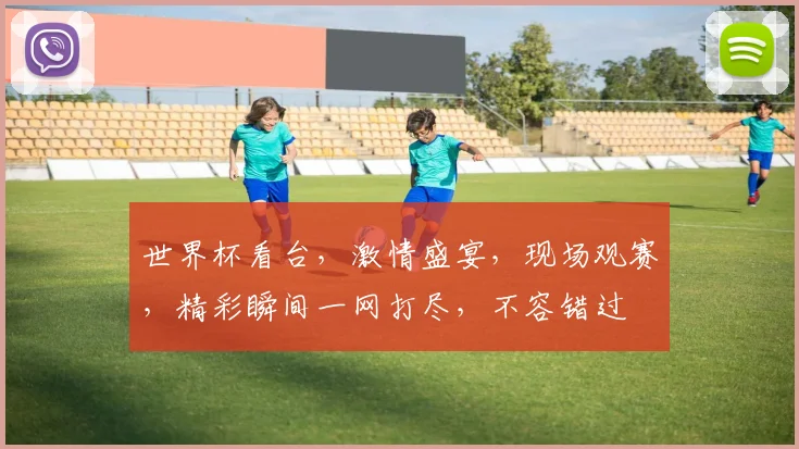 世界杯看台，激情盛宴，现场观赛，精彩瞬间一网打尽，不容错过