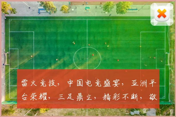雷火竞技，中国电竞盛宴，亚洲平台荣耀，三足鼎立，精彩不断，敬请关注